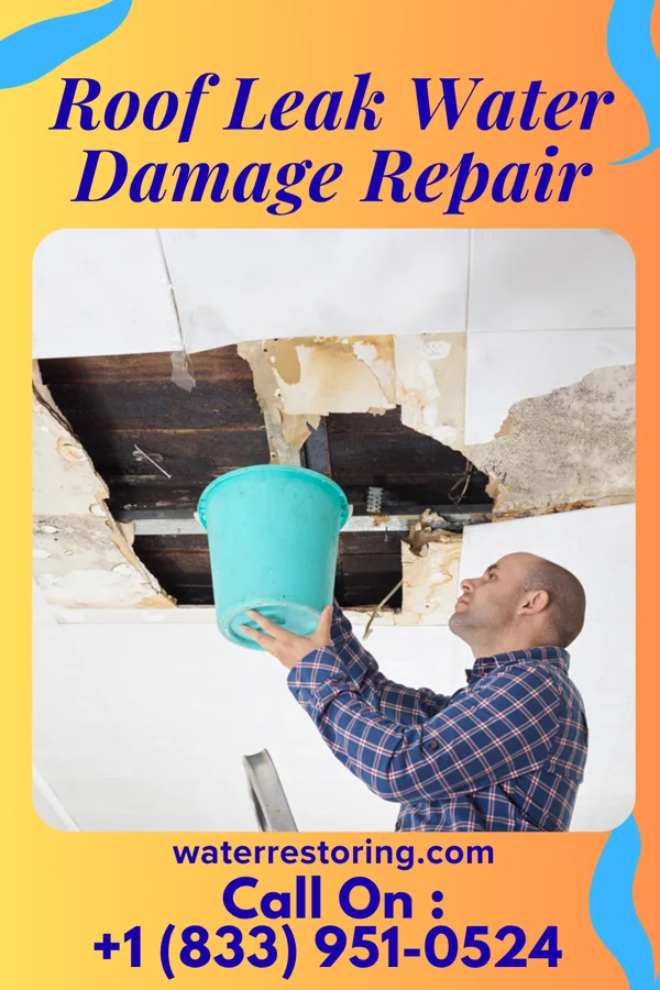 Roof Leak Water Damage Repair in Kelly, KS